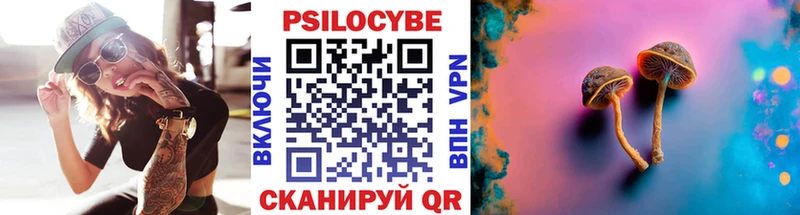 Псилоцибиновые грибы Psilocybine cubensis  даркнет сайт  Томмот 